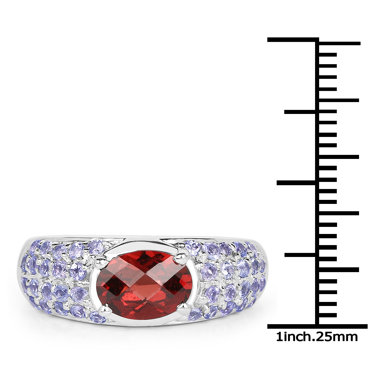 2.85 Carat Genuine Garnet and Tanzanite .925 Sterling Silver Ring