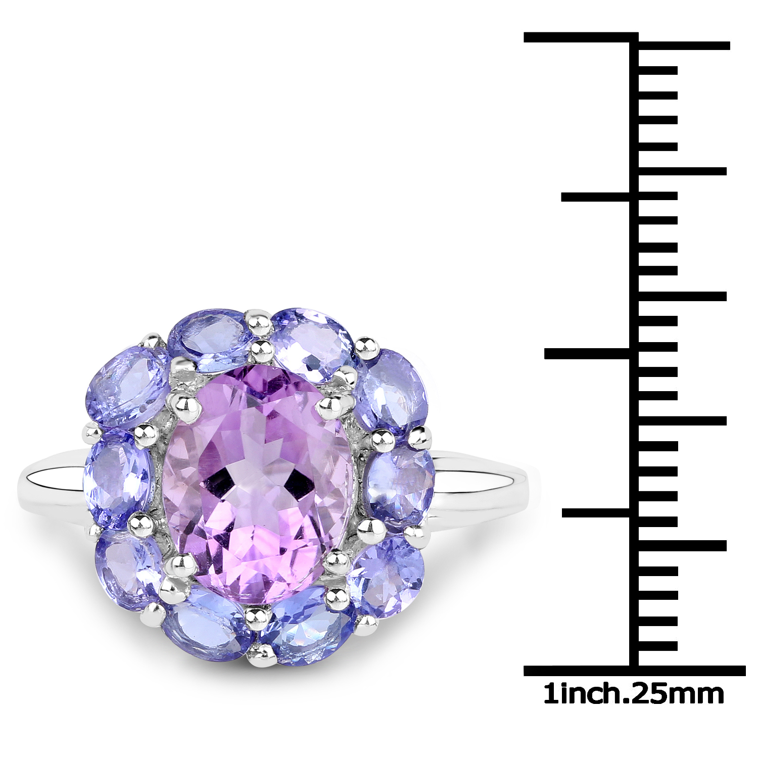 3.85 Carat Genuine Amethyst and Tanzanite .925 Sterling Silver Ring