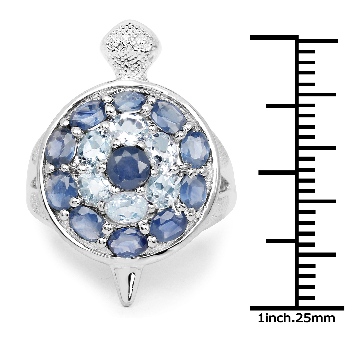 3.40 Carat Genuine Aquamarine and Blue Sapphire .925 Sterling Silver Ring