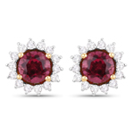 Red Rubellite Halo Earrings in 14K Yellow Gold