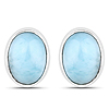 QE6196Larimar-SSR